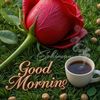 munsif.asim