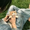 pishooo412