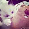its.me.zaraa2