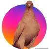 user12567540052812