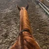 szabo_adel0318