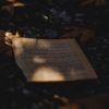 forgottenpages3