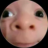 user6755612950514
