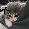 f3h9chzboqra