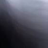 yara.alsharif7