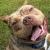 cooperthezoomer