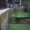 arya.riski76