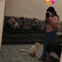 jana.rabea96