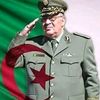 user6161921807374