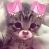 mariam_spamzs
