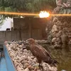zanyarrbarzani1