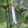 farid.alfarizi426