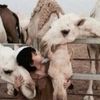 عشــَوائي .