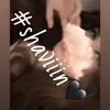 shaviin.18