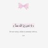 melak_311