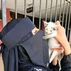piccimoharanipiccimohara