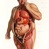 NutriVibe34