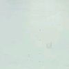 asyh709