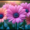 munia.islam228