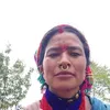 kalibohara20