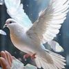 hasnaa.alsham