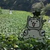 ninjacatworker
