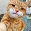 khant.paing3714