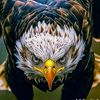 fahad.shaikh607