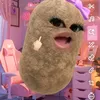 raa_imupp74