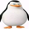 user731480241