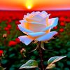 syo_mbua6