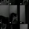 bil__122