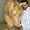 m.bilalhorselover