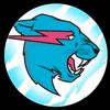 mrbeast.official2210