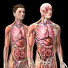 medbuzz360