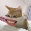 hello_shafira04