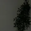 .jdcc1