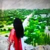 kashmirishazadi224