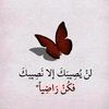 hamze.sayahi