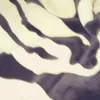 2000s_68