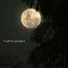 kk_oo.51