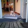 holly.carolan80