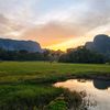 naturethings02