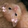hellokittie59