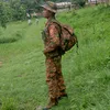 user75418028380101