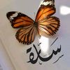 sarah.fahad07