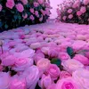 user1408291500044
