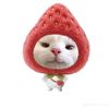 haniii_2308