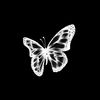 littlebutterfly374_