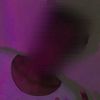 deevyne02